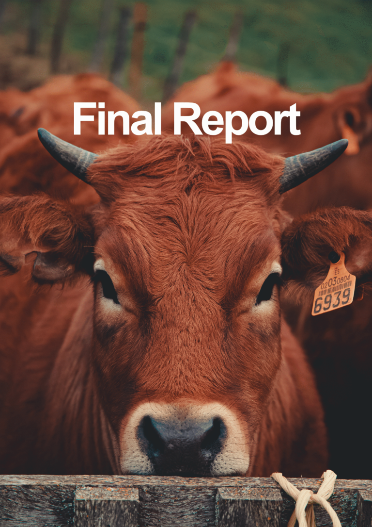 Overcoming technical and market constraints to the emergence of profitable beef enterprises in the north-western highlands of Vietnam