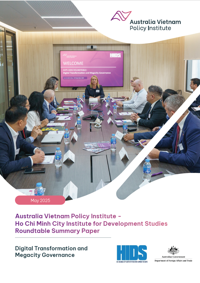 AVPI-HIDS Summary Paper: Digital Transformation and Megacity Governance